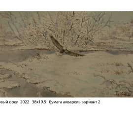 Белоголовый орел  2022   38х19.5   бумага акварель вариант 2.