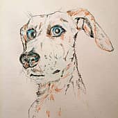 Недоверчивый пес