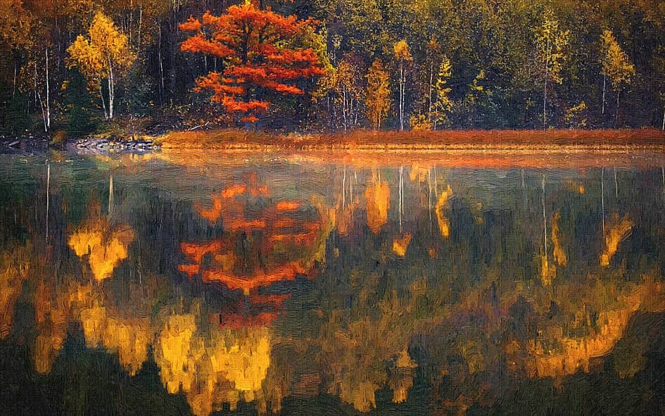 осень в зеркале