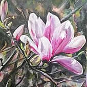 Цветущие магнолии