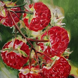 Ягоды малины на ветке