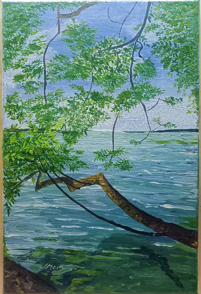 Ива над Волгой