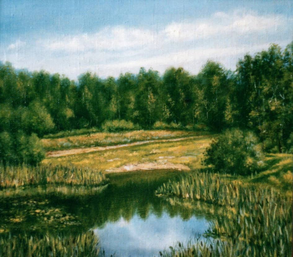 Озеро с камышами  A Lake with the Reeds