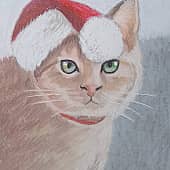 Новогодний котик