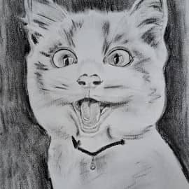 Просто Вася