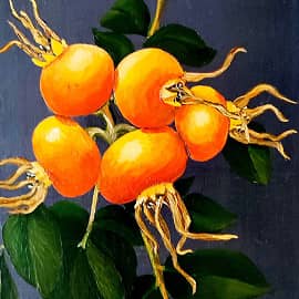 Бывшие розы