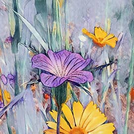 Полевые цветы.