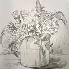 Одуванчики (рисунок)