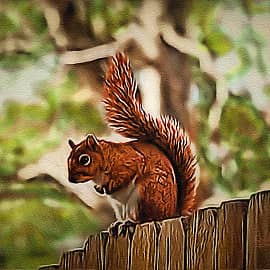 Животные 083