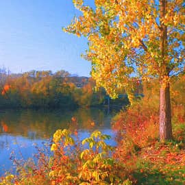 Солнечный день.