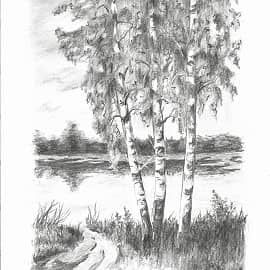 как три тополя..