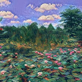 Заросший пруд.