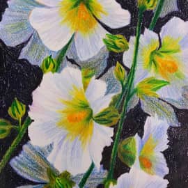 Мальвы. Скетч.