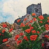 Маки в Балаклаве