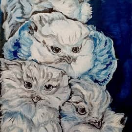 Полярные совы