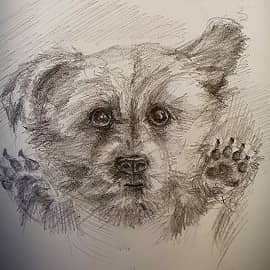 Маленький щенок