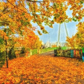 В городе осень