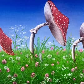 Микродозинг мухомора