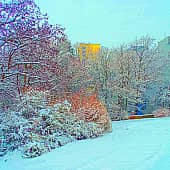 Город в снегу.