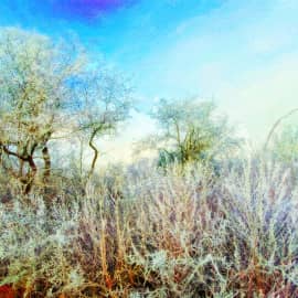 Колючий мороз