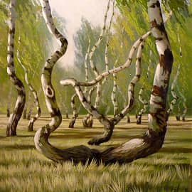 Танцующие березы