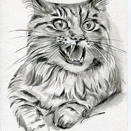 Мяяяяяяяяу