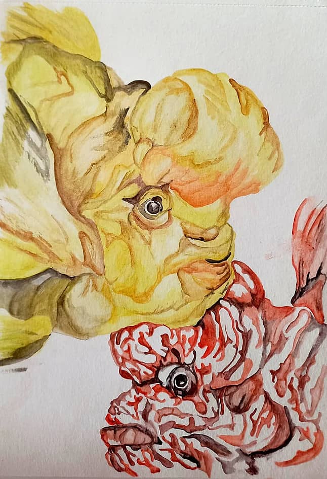 Парочка экзотических рыбок