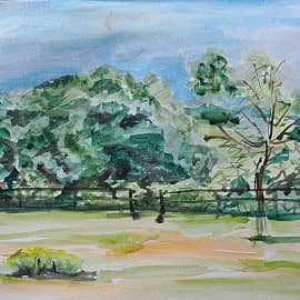 Мой маленький лес