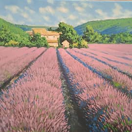 Поле лаванды