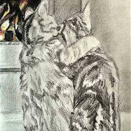 Коты у огня