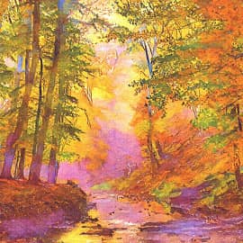 Река в лесу