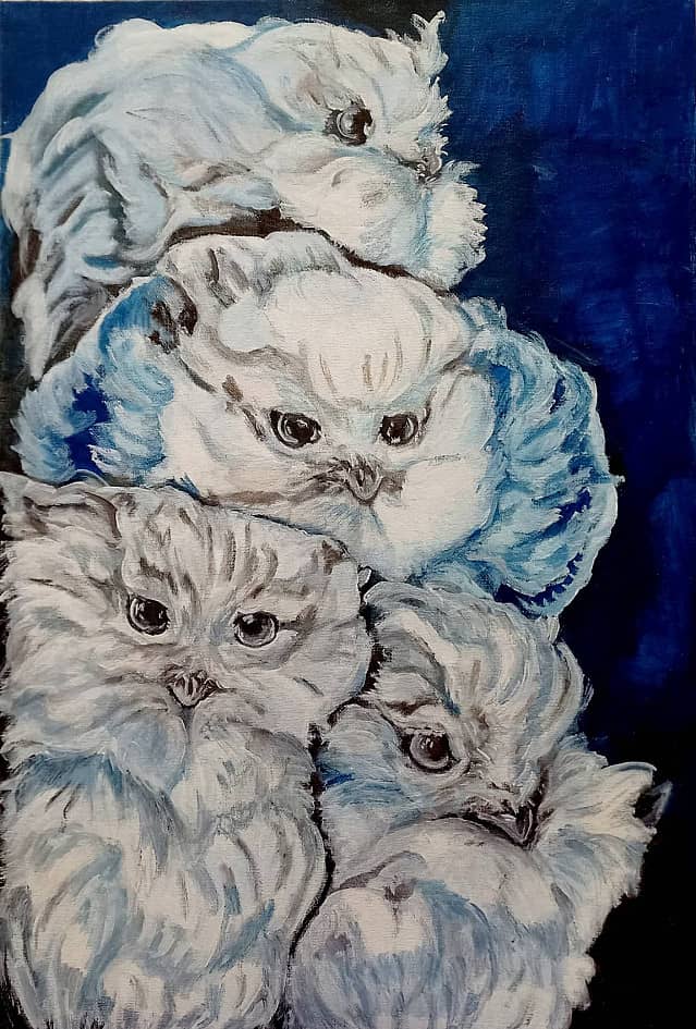 Полярные совы