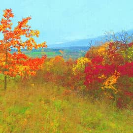 Нарядилась осень.