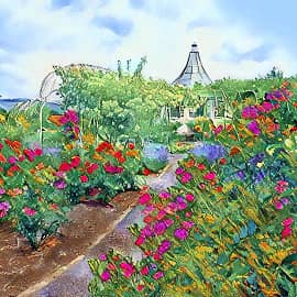 Летний сад.