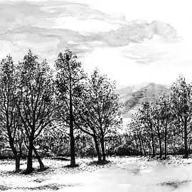 Среди зимы 21  Among the Winter 21