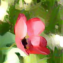 Чёрное в красном