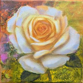 Жёлтая роза