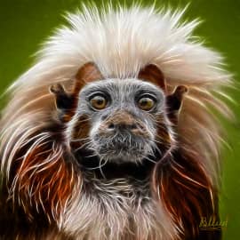 Вождь Тамаринов