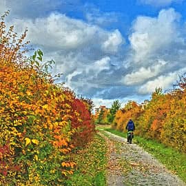 по дороге в осень