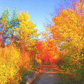 осенние дорожки