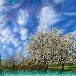 Птицы весны.