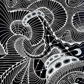 Без названия 8