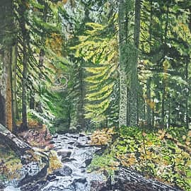 Лесной ручей