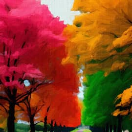 Аллея красок