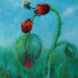 На свидание с ромашками