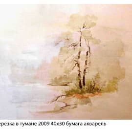 Березка в тумане 2009  40х30 бумага акварель