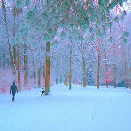 Зимний парк.