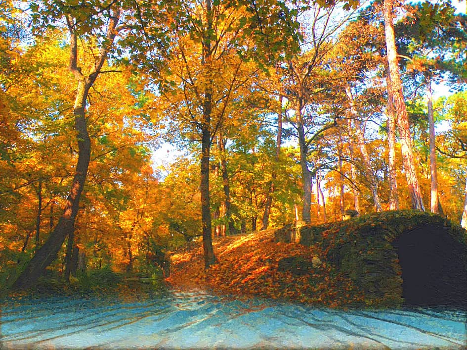 Осенний берег.