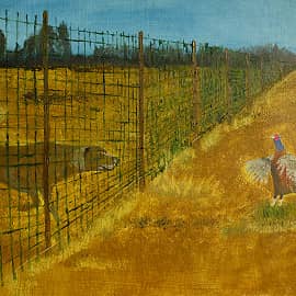 Не такой ты и свирепый.... за сеткой.