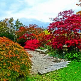 осенняя раскраска